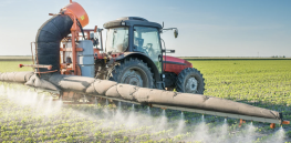 Viewpoint: A world without glyphosate would mean more weeds, soil erosion and carbon emissions, and smaller crop yields